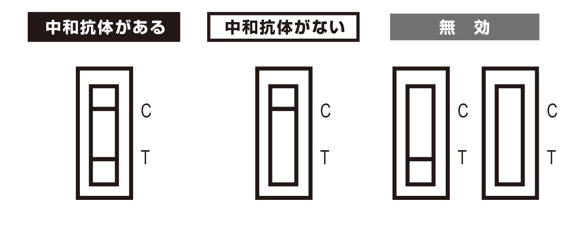 中和抗体検査キット 10回セット 新型コロナウイルス Rt フジコンプラス